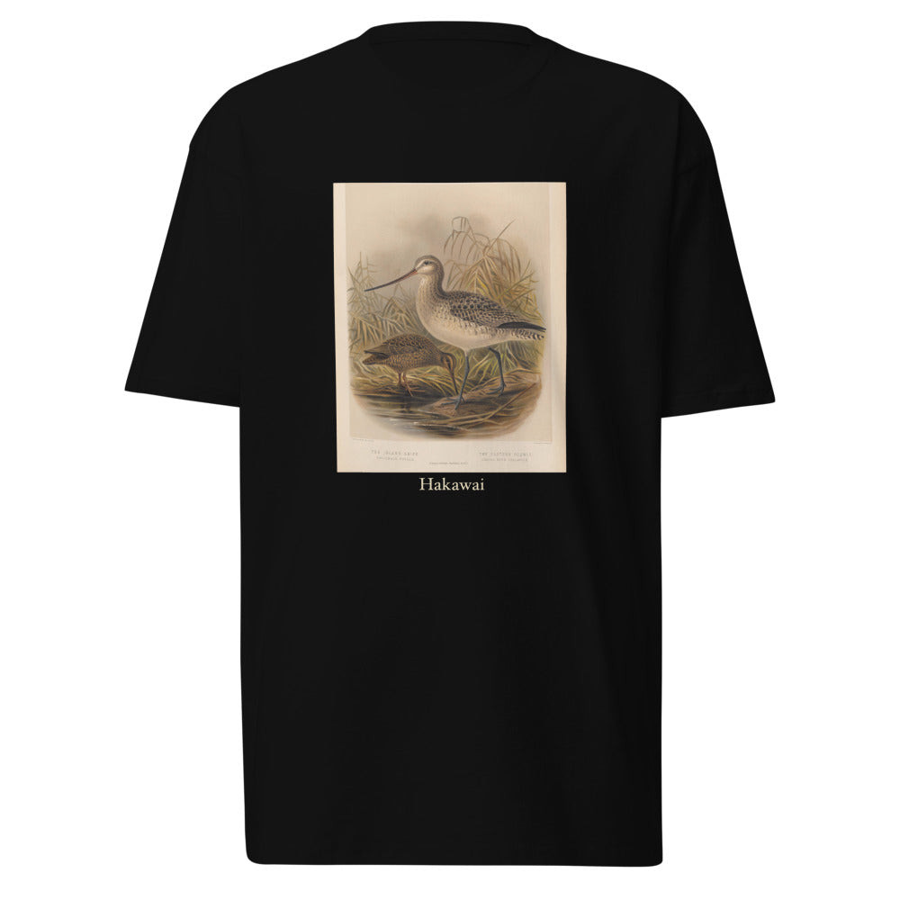 Hakawai — Subantarctic snipe