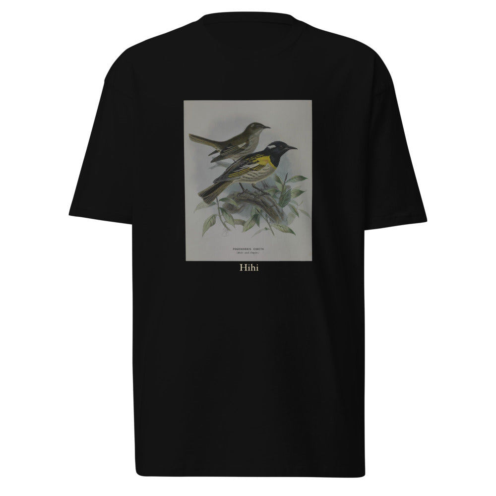 Hihi — Stitchbird