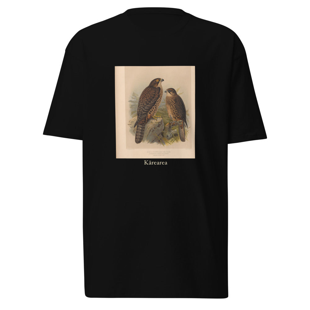 Kārearea — New Zealand Falcon