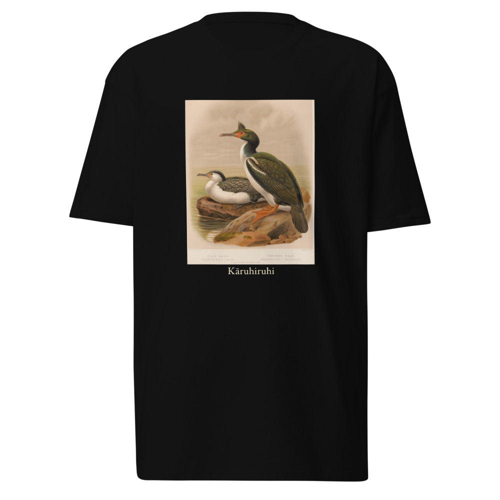 Kāruhiruhi — Pied shag