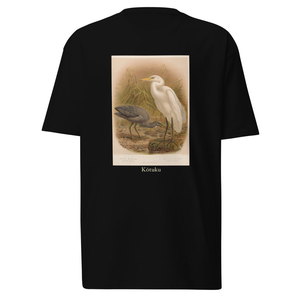 Kōtuku — Great Egret