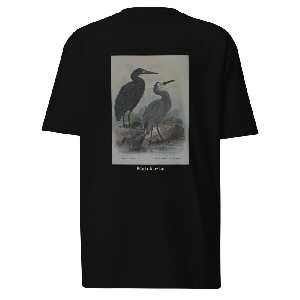 Matuku-tai — Pacific Reef Heron