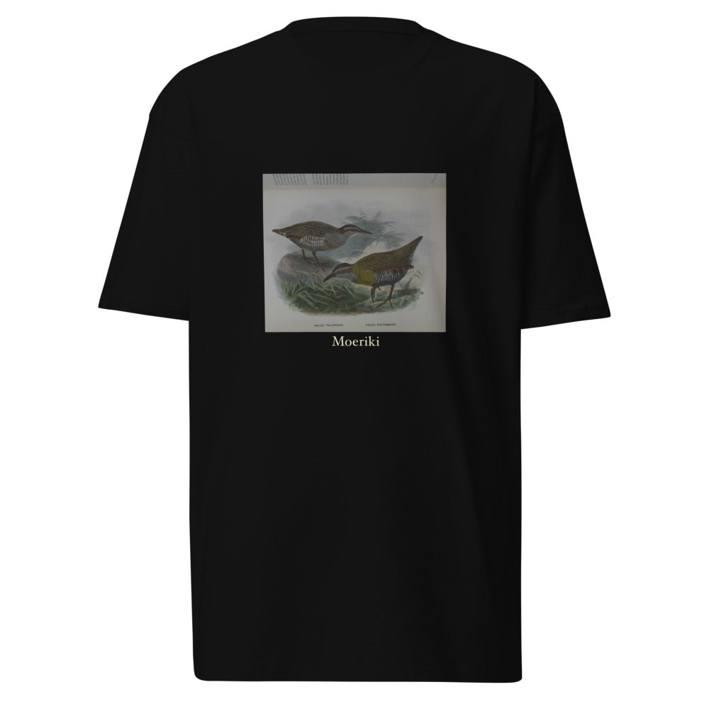 Moeriki — Dieffenbach's rail