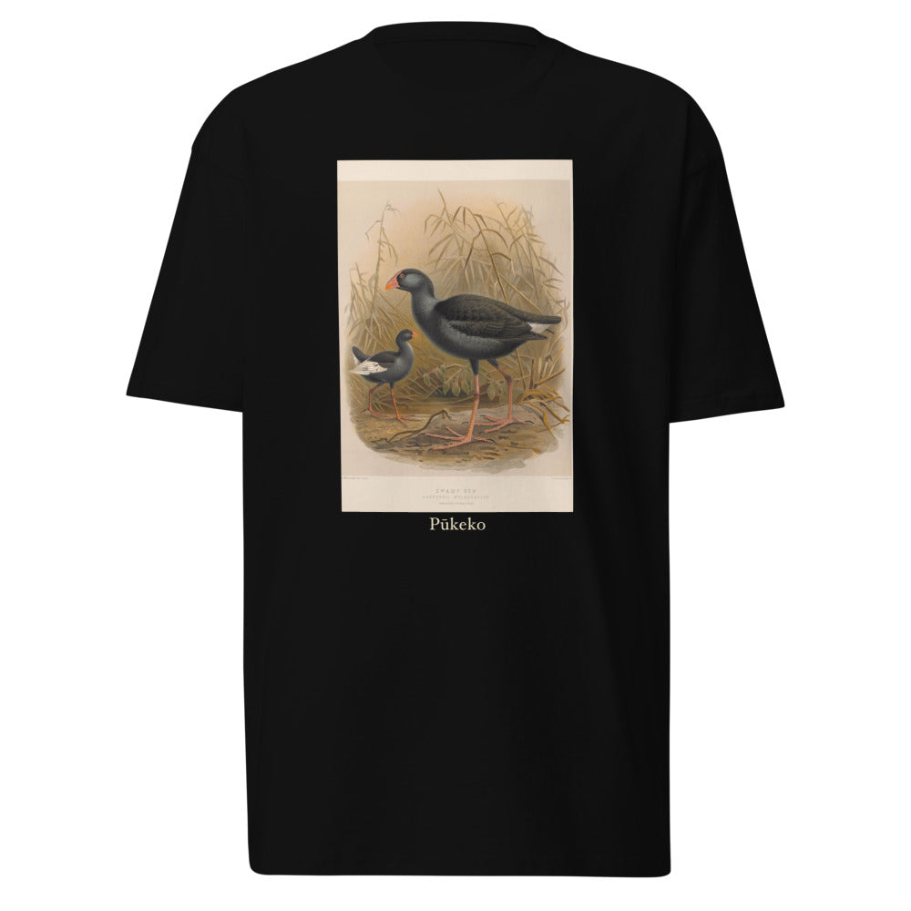 Pūkeko — Australasian Swamphen