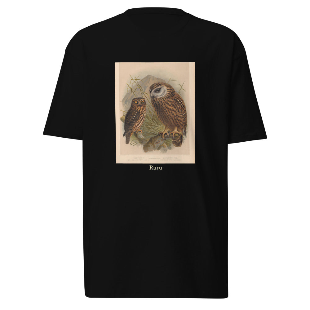 Ruru — Morepork