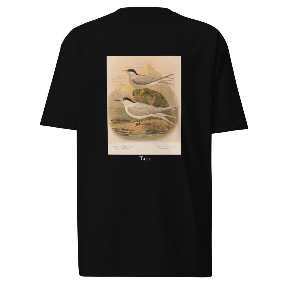 Tara — White-fronted Tern