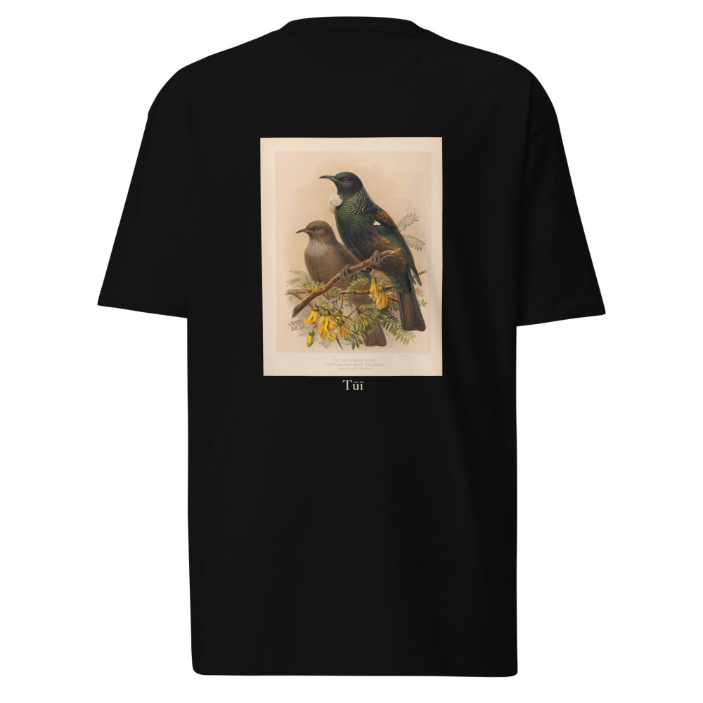 Tūī — tūī