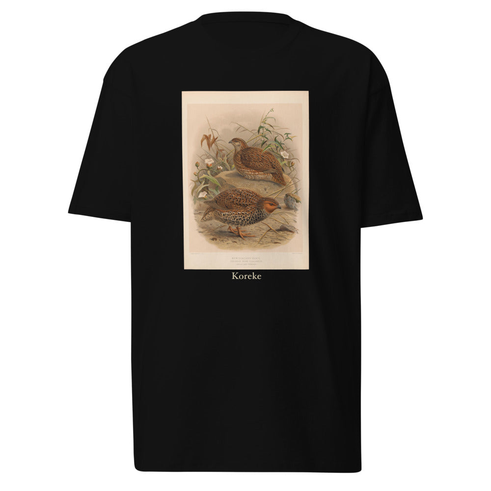 Koreke — New Zealand quail