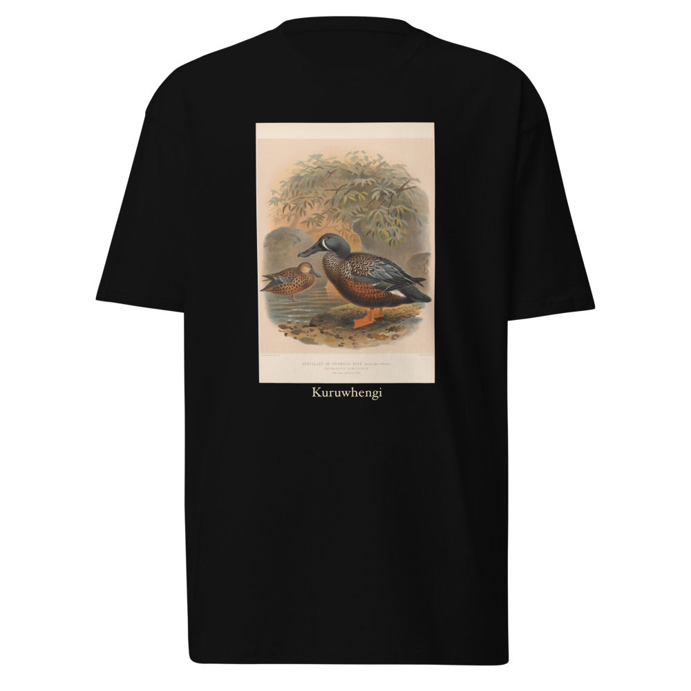 Kuruwhengi — Australasian shoveler
