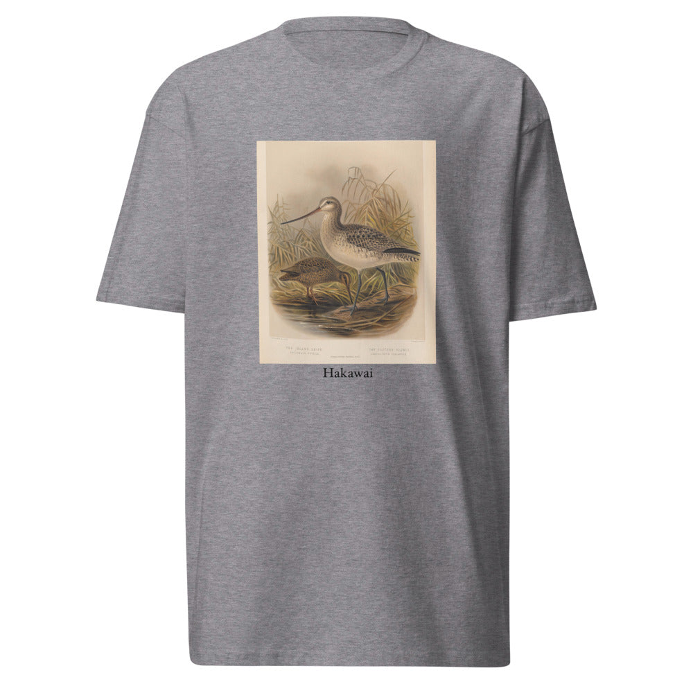 Hakawai — Subantarctic snipe
