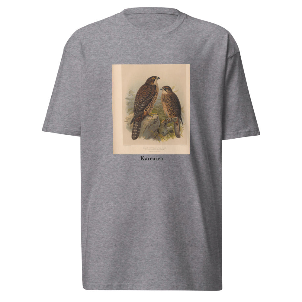Kārearea — New Zealand Falcon