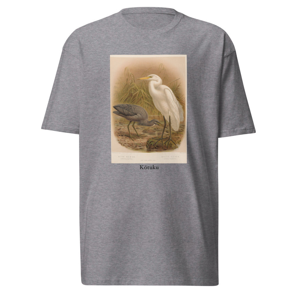Kōtuku — Great Egret