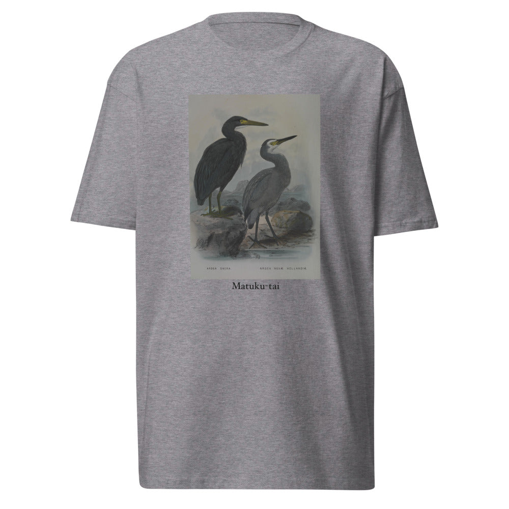Matuku-tai — Pacific Reef Heron