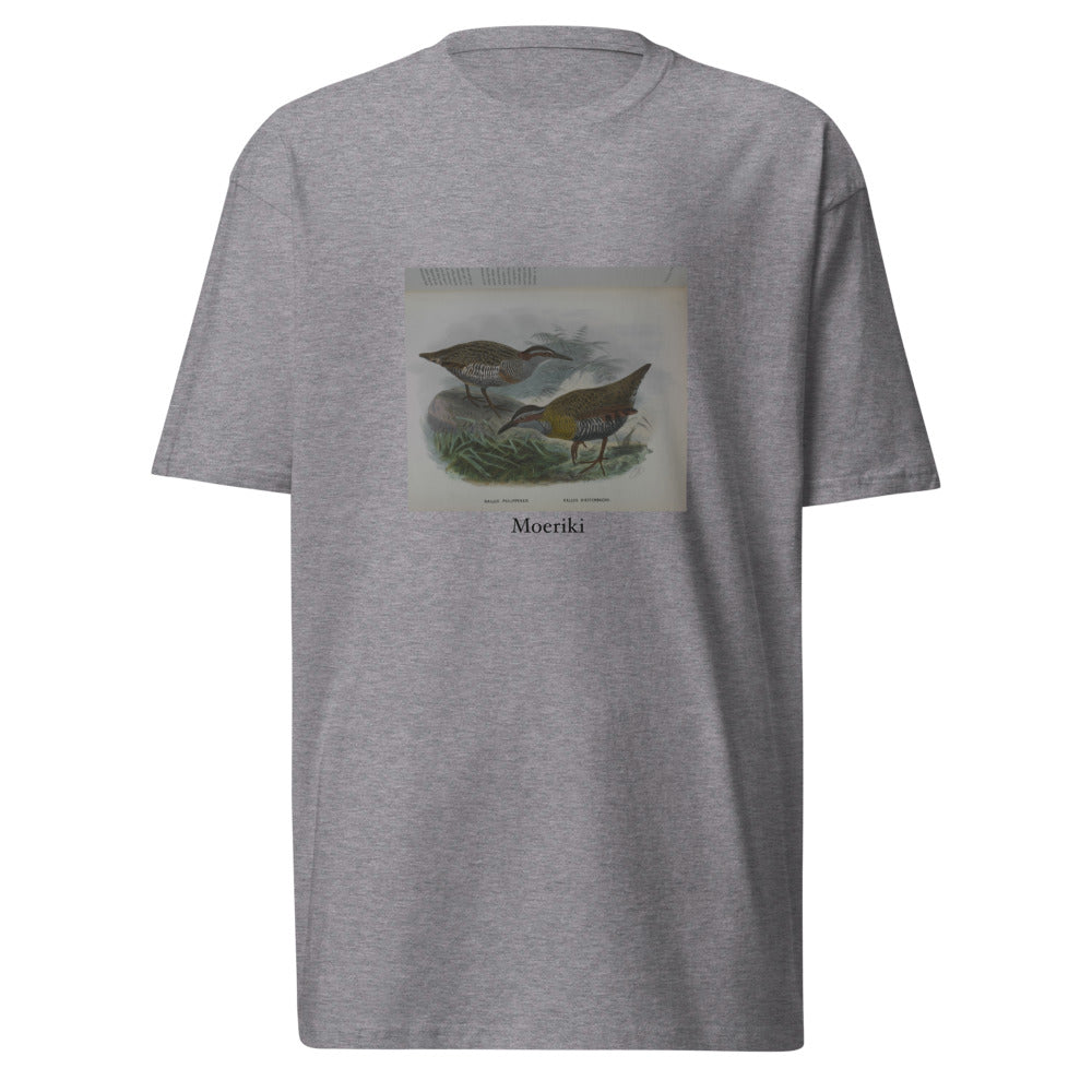 Moeriki — Dieffenbach's rail