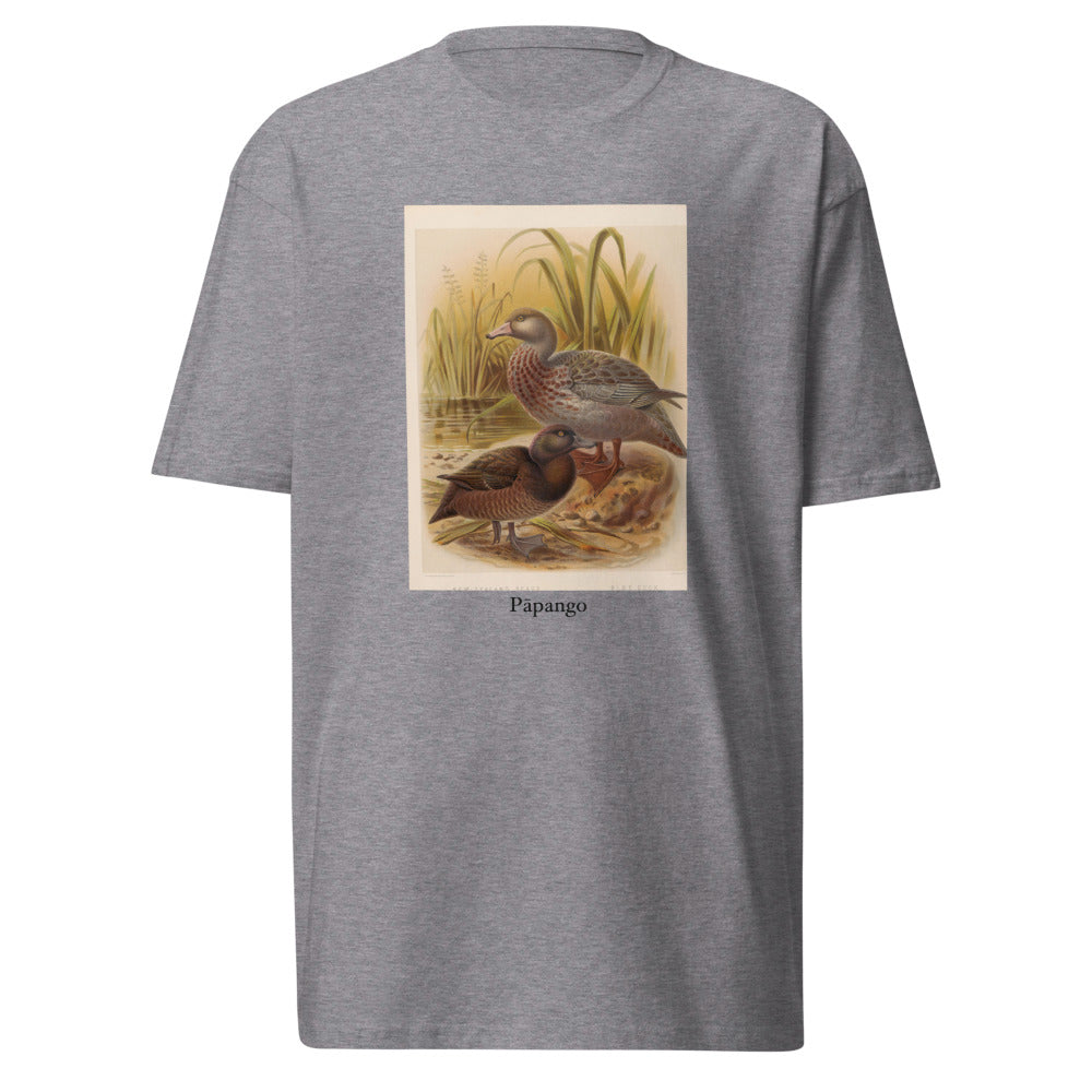 Pāpango — New Zealand scaup