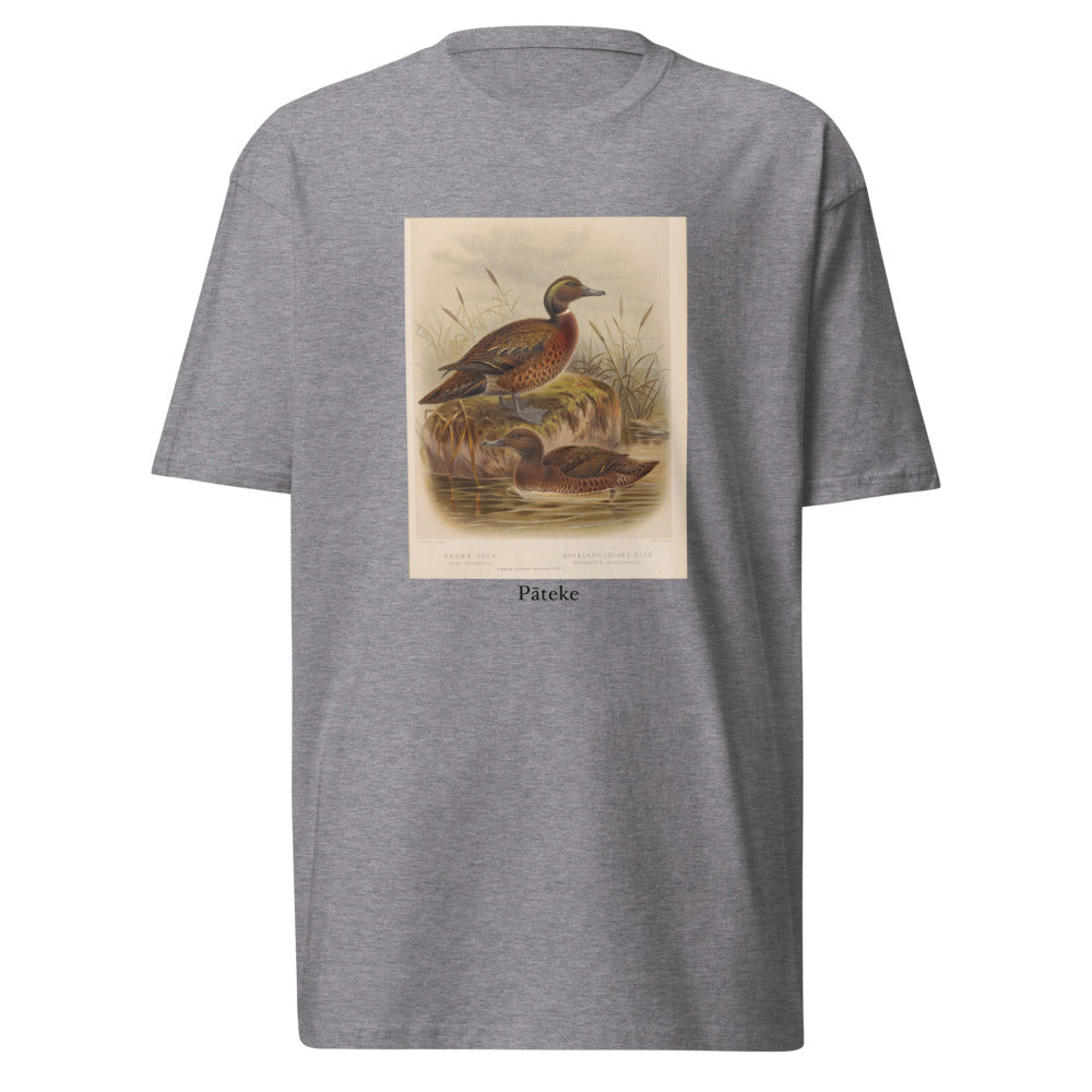 Pāteke — Brown Teal