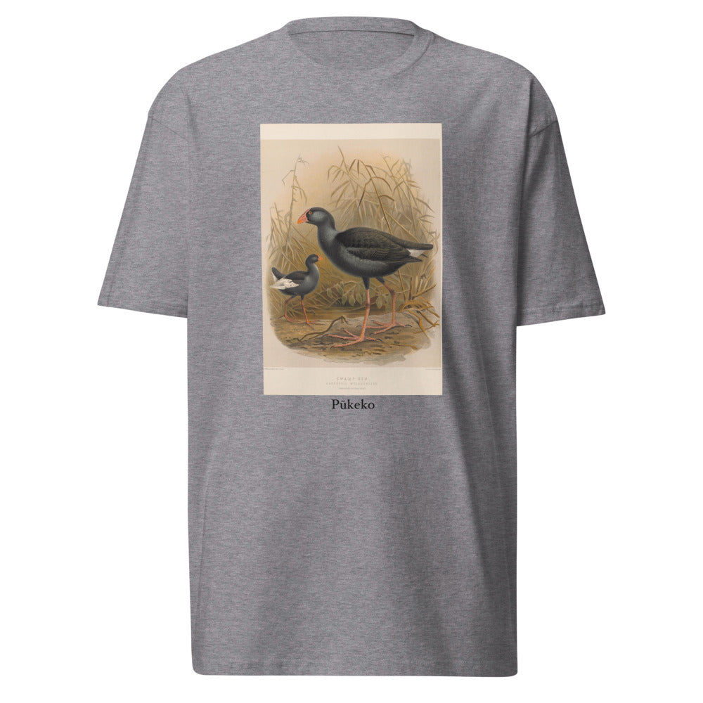 Pūkeko — Australasian Swamphen