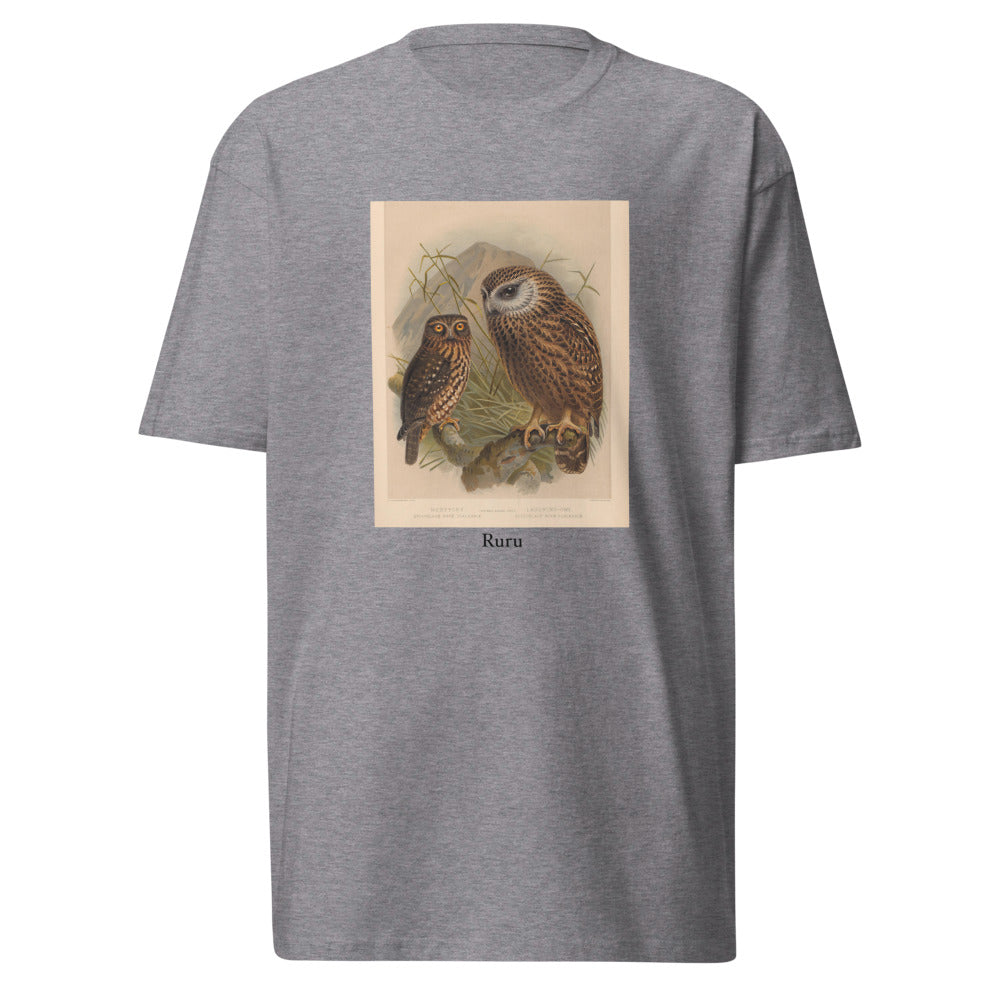 Ruru — Morepork