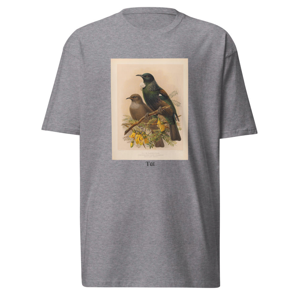 Tūī