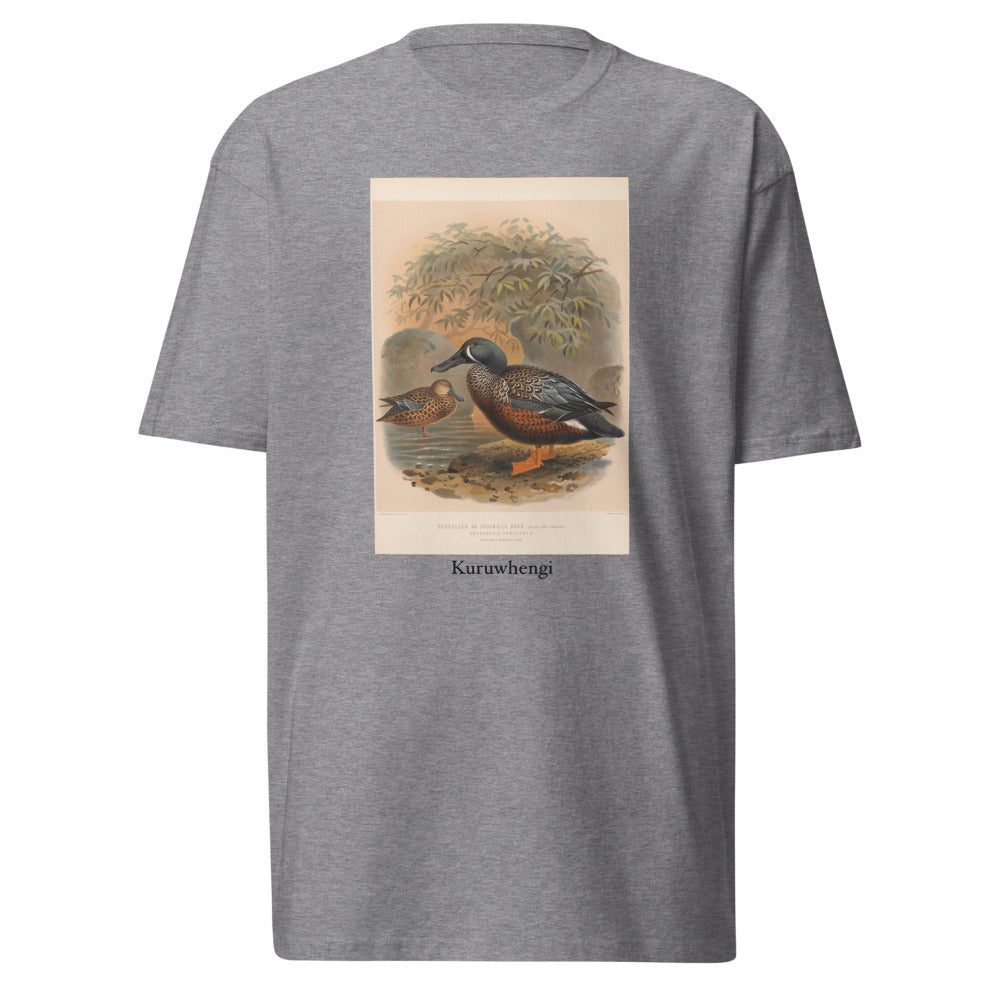 Kuruwhengi — Australasian shoveler