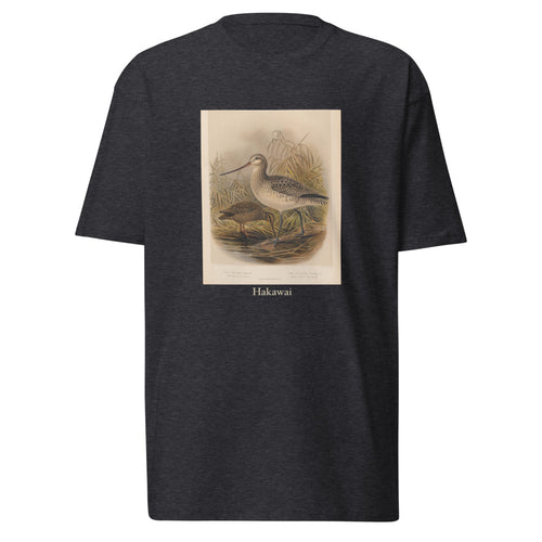 Hakawai — Subantarctic snipe