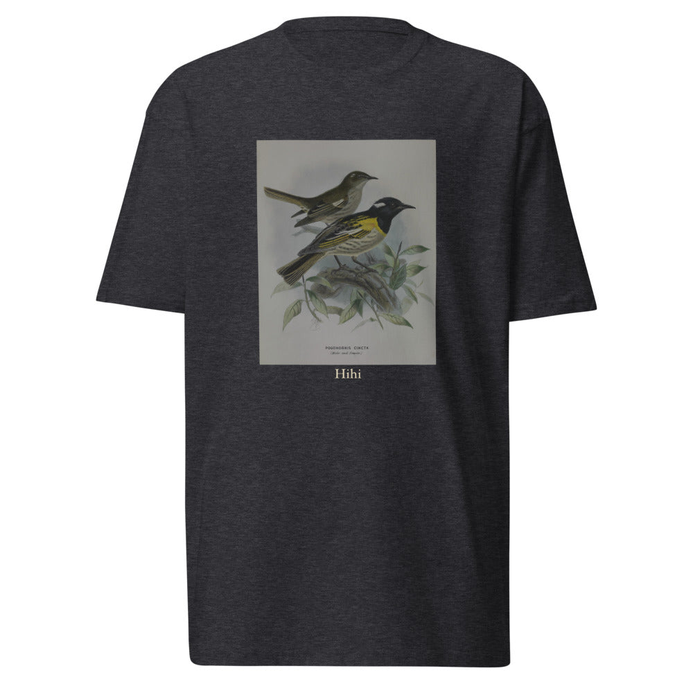 Hihi — Stitchbird