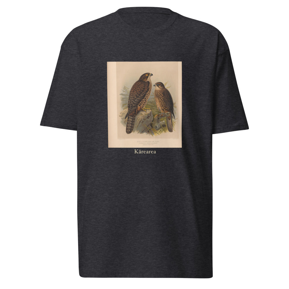 Kārearea — New Zealand Falcon