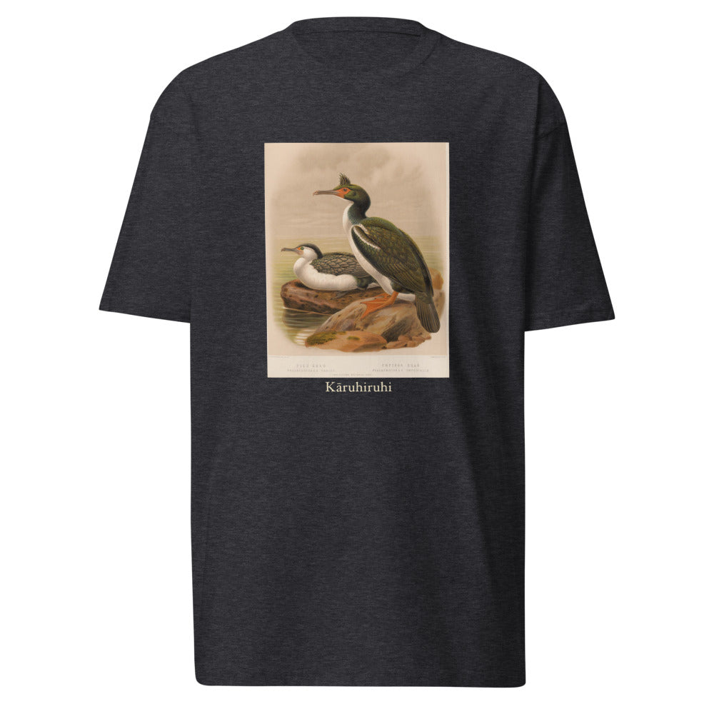 Kāruhiruhi — Pied shag
