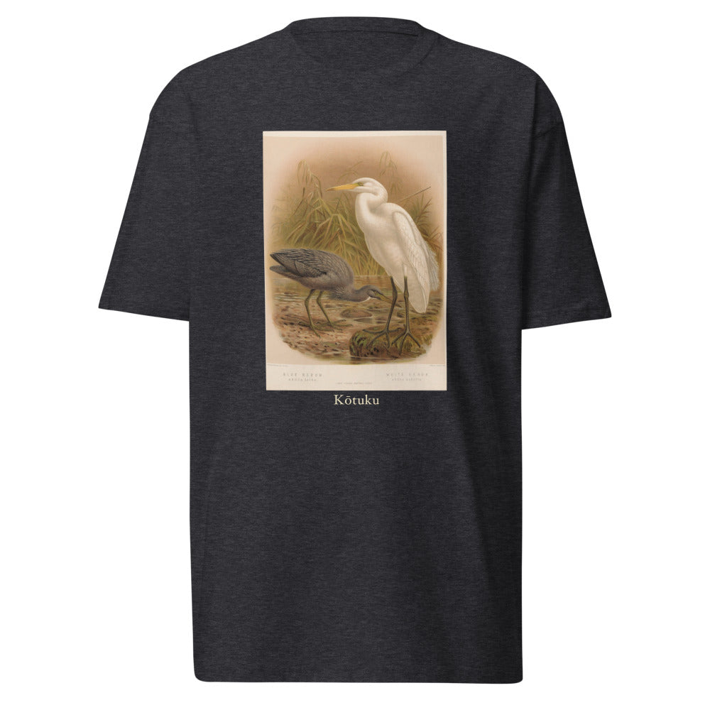 Kōtuku — Great Egret