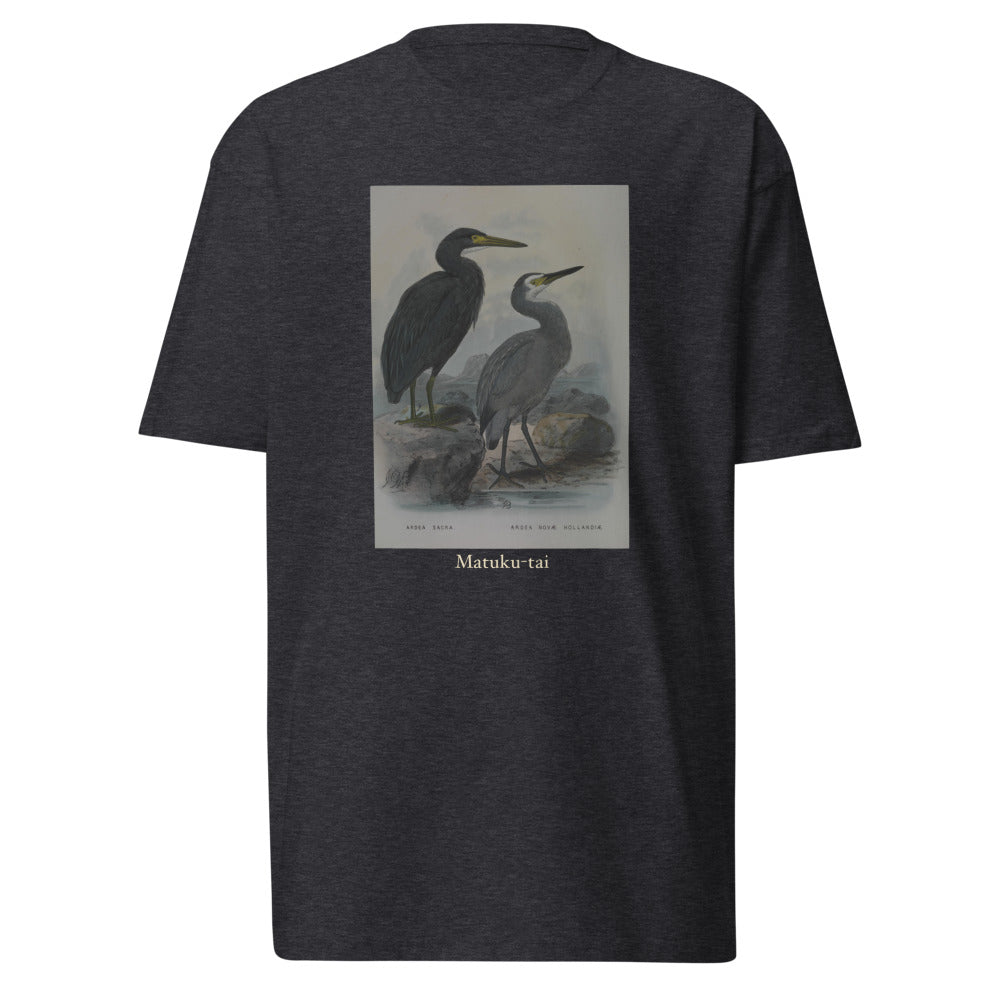 Matuku-tai — Pacific Reef Heron