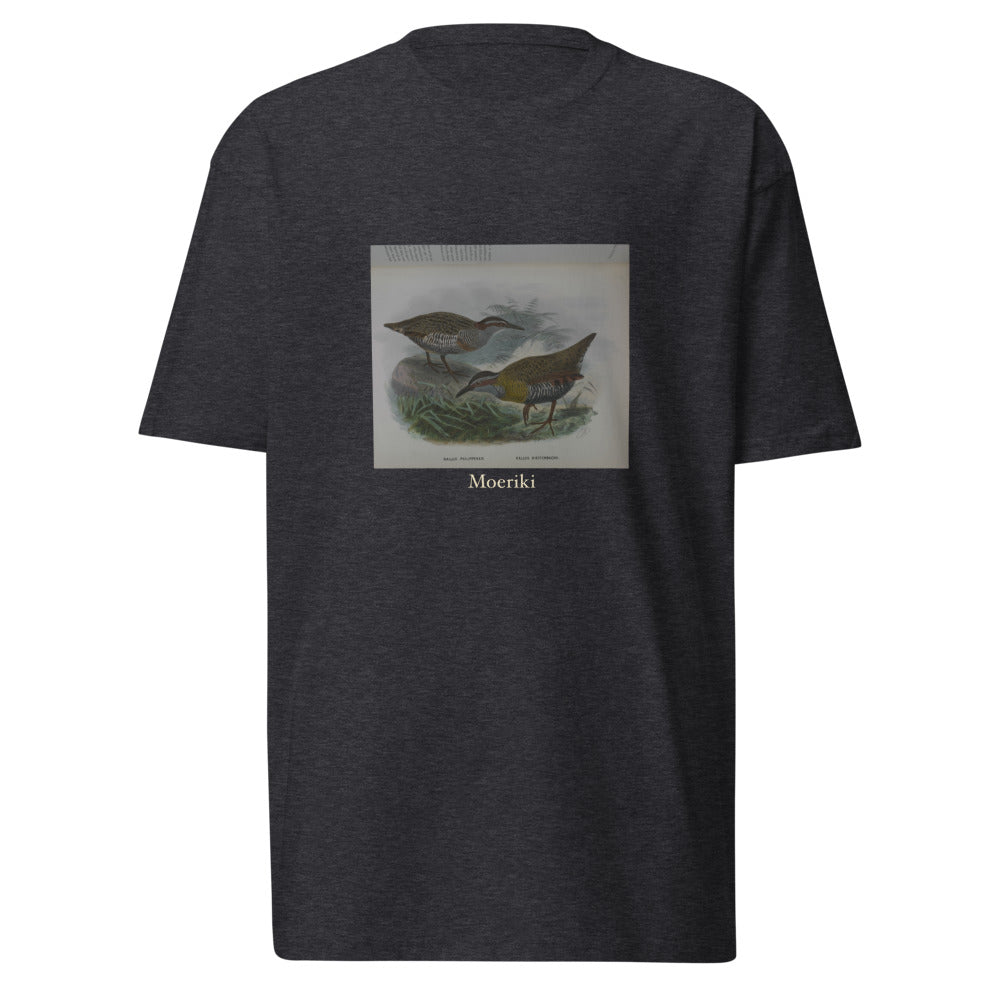 Moeriki — Dieffenbach's rail