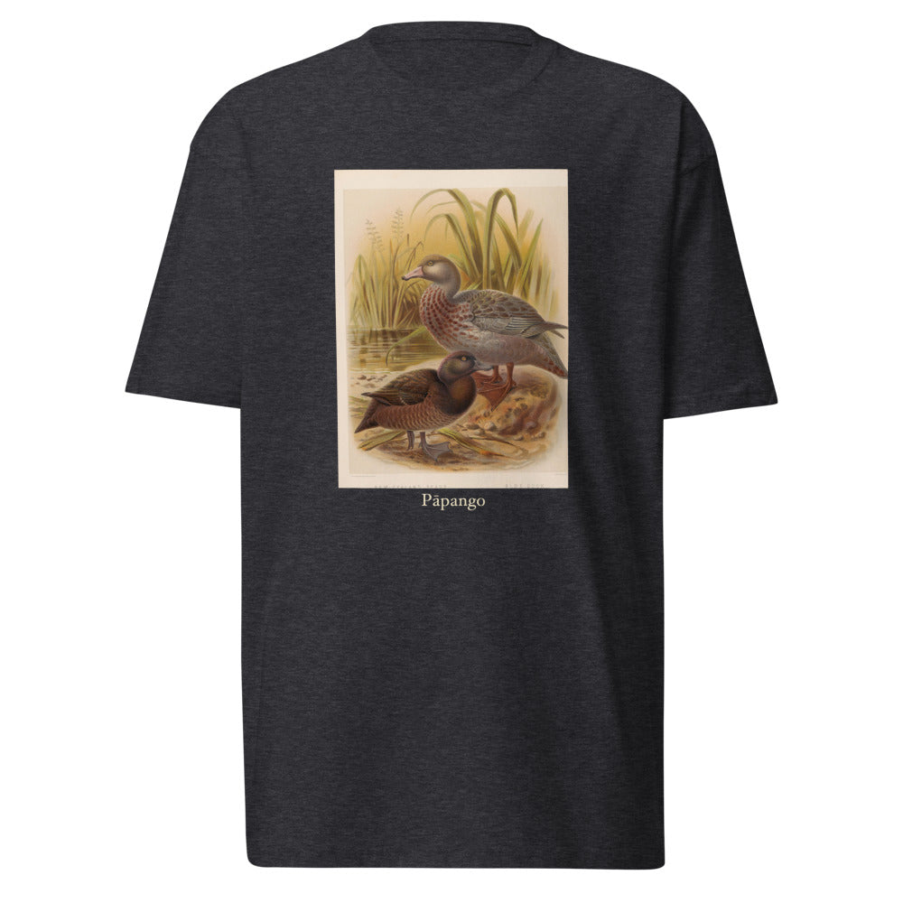 Pāpango — New Zealand scaup
