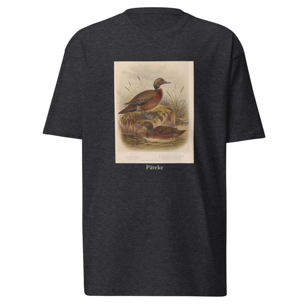 Pāteke — Brown Teal