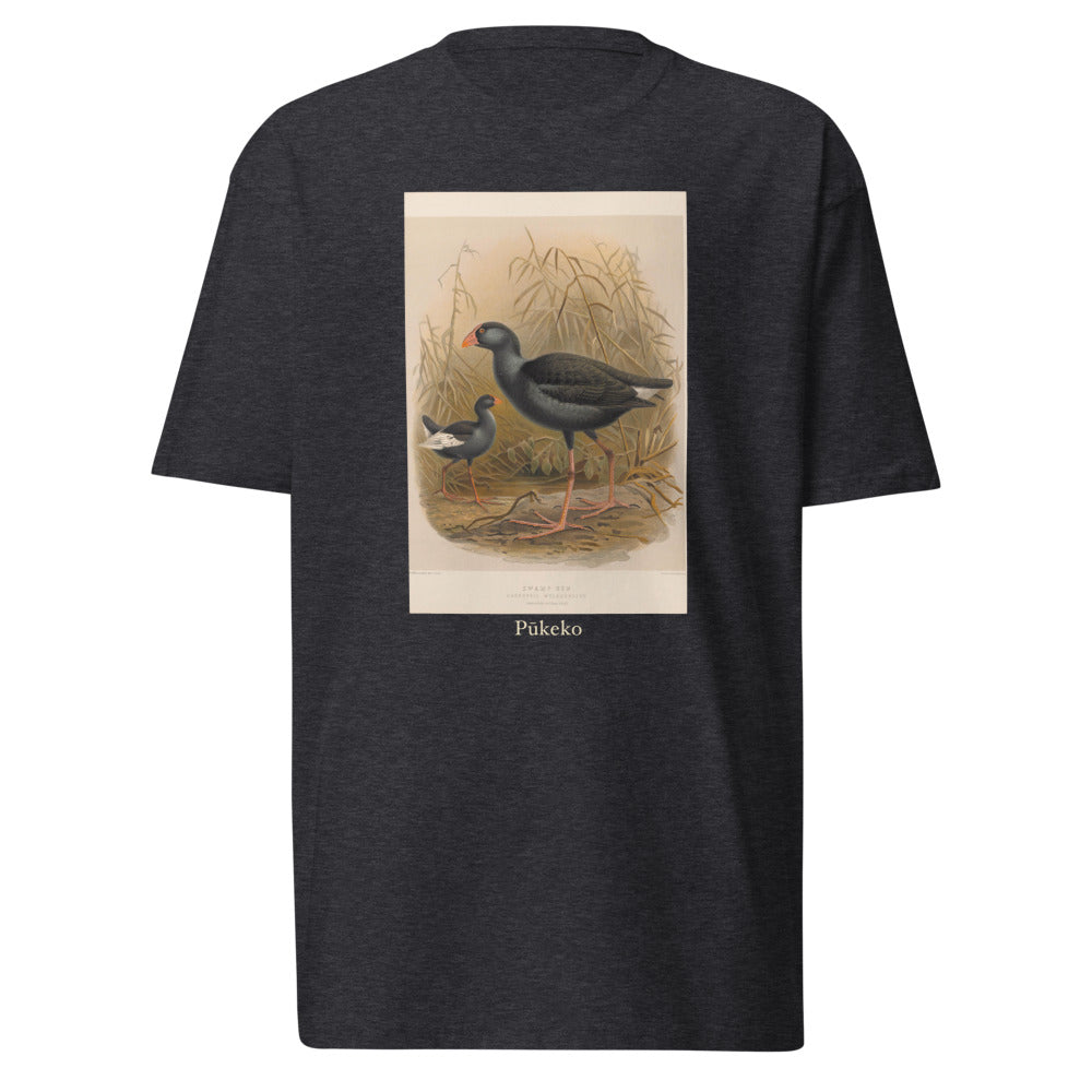 Pūkeko — Australasian Swamphen