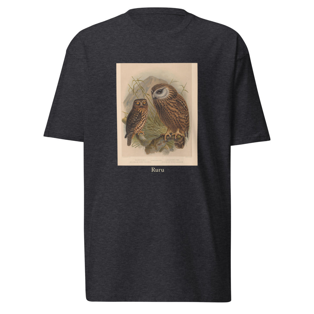 Ruru — Morepork