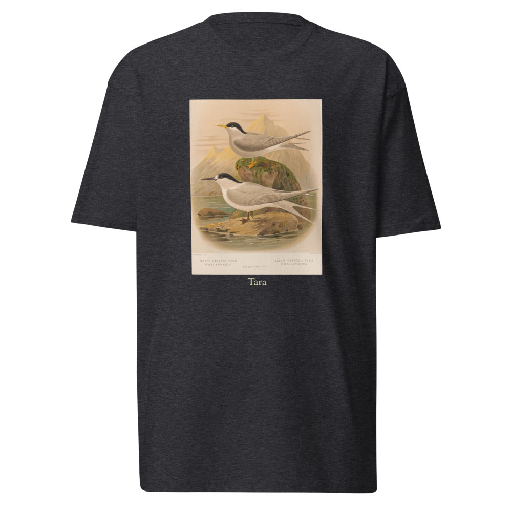 Tara — White-fronted Tern