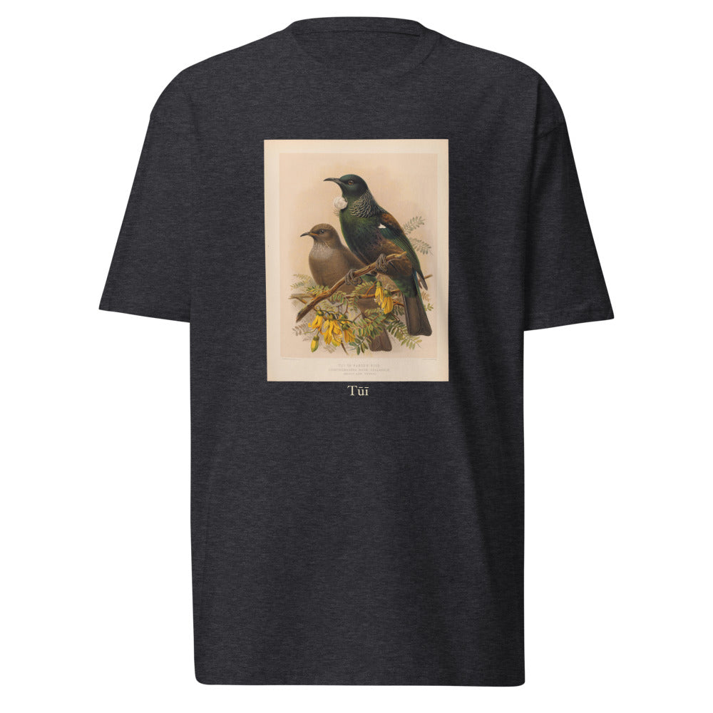 Tūī
