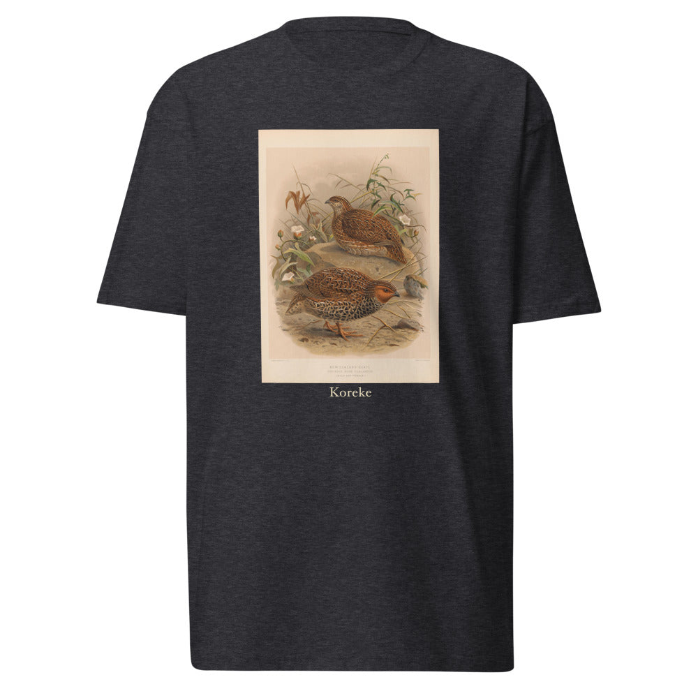 Koreke — New Zealand quail