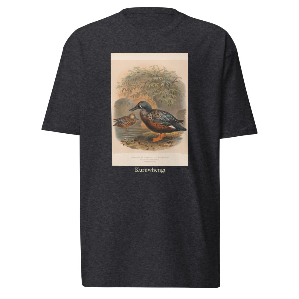 Kuruwhengi — Australasian shoveler