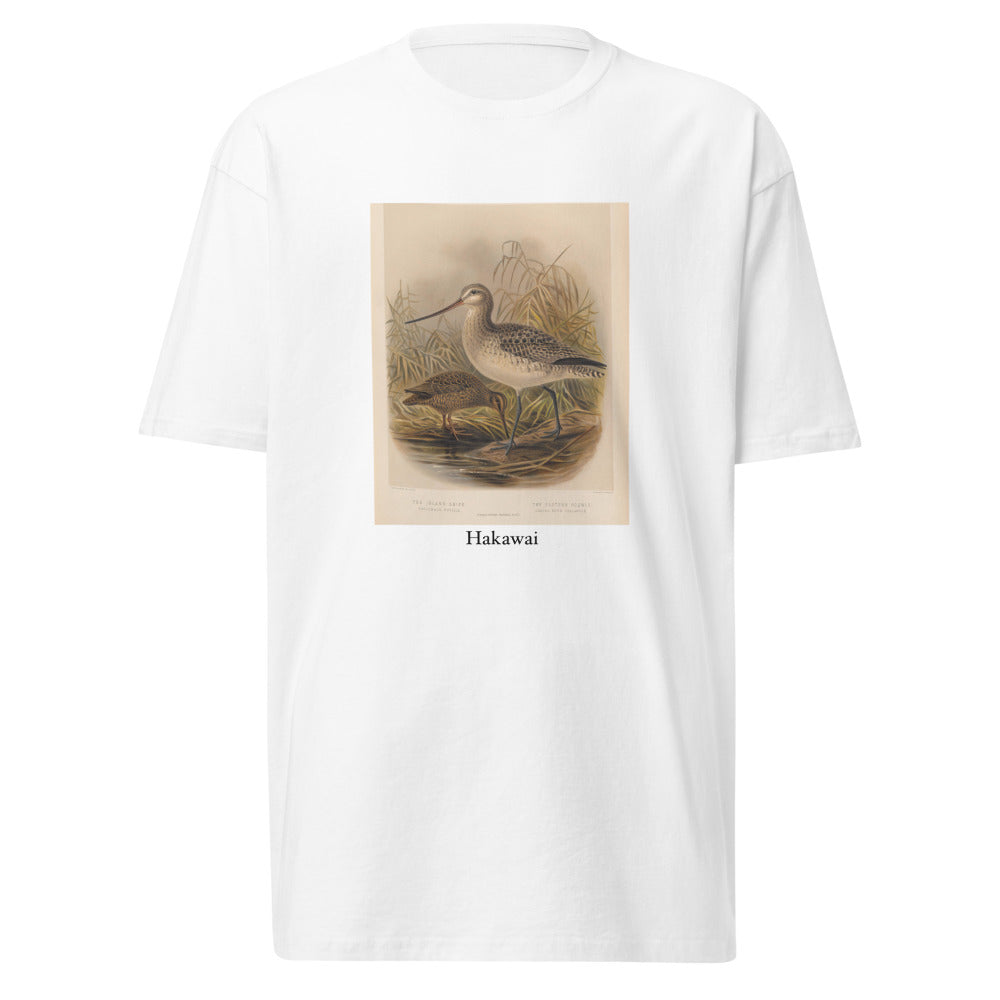Hakawai — Subantarctic snipe
