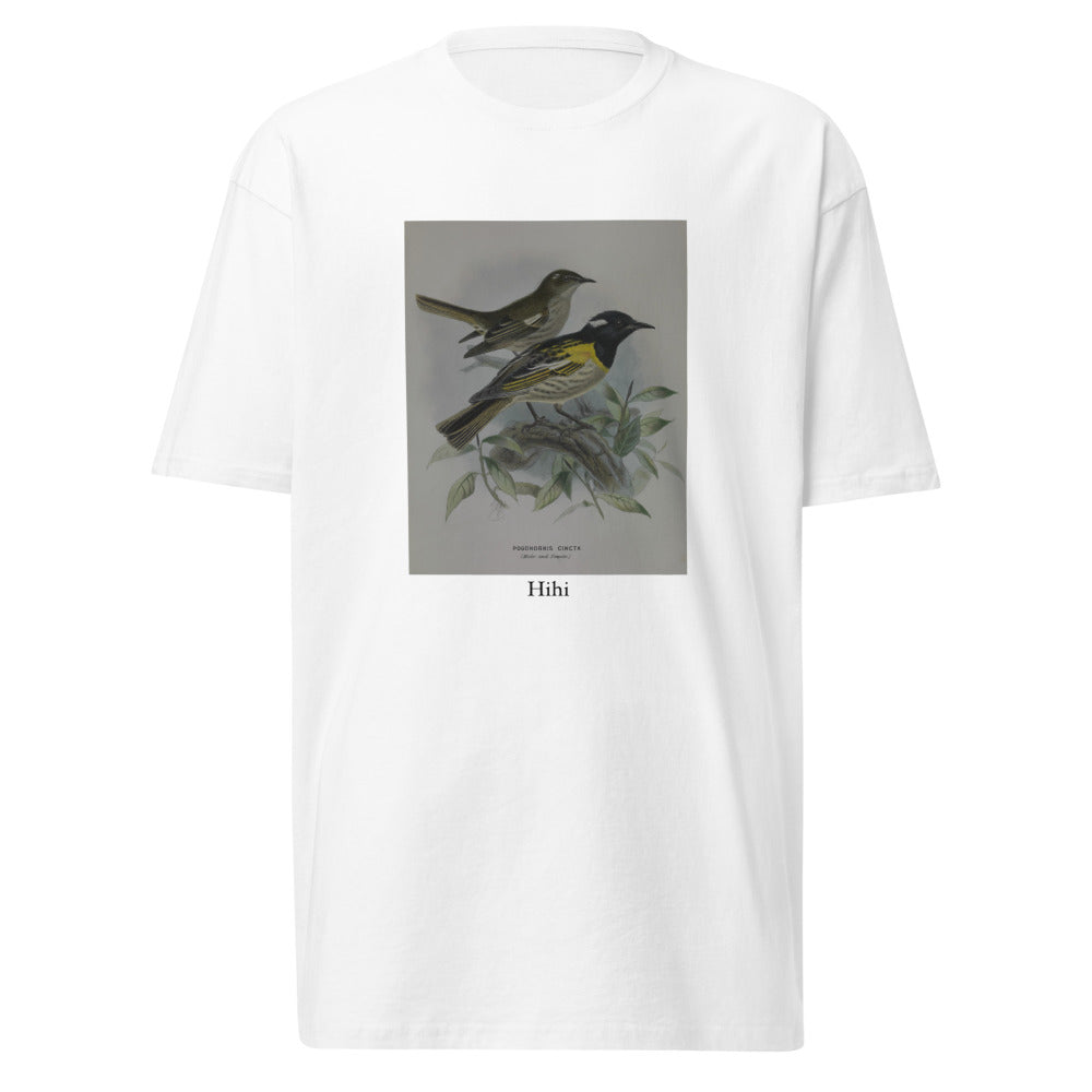 Hihi — Stitchbird