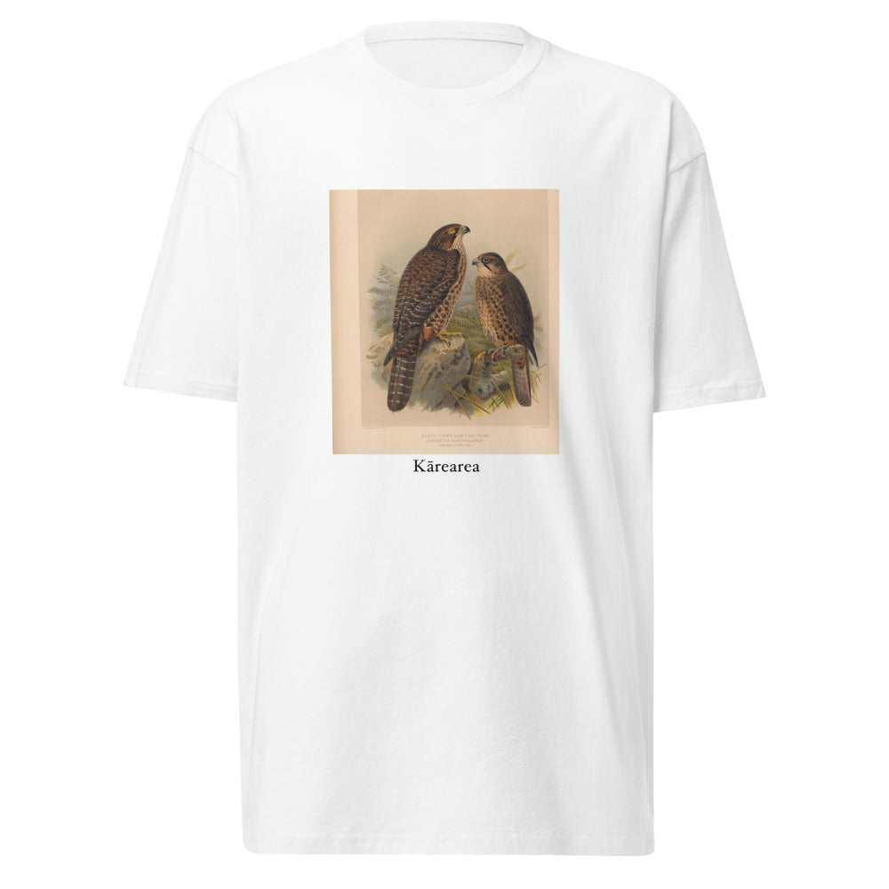 Kārearea — New Zealand Falcon