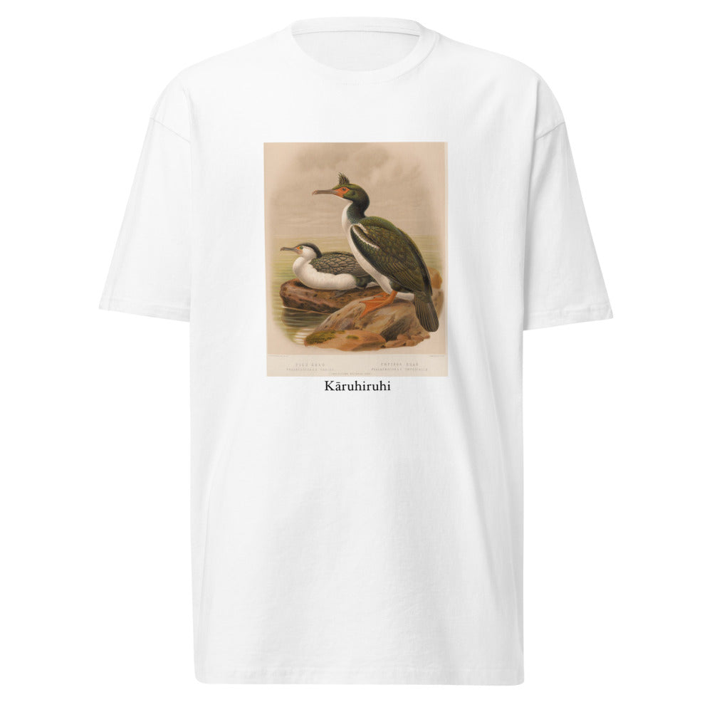 Kāruhiruhi — Pied shag