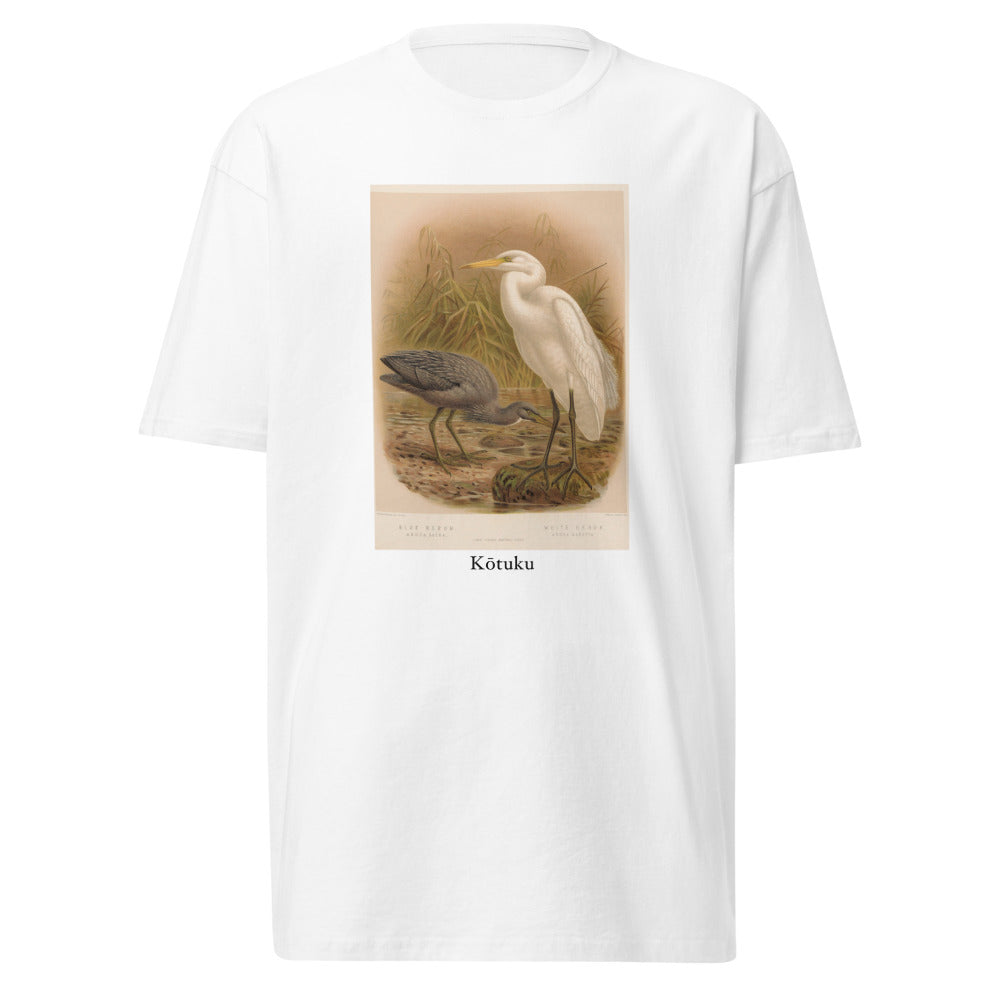 Kōtuku — Great Egret