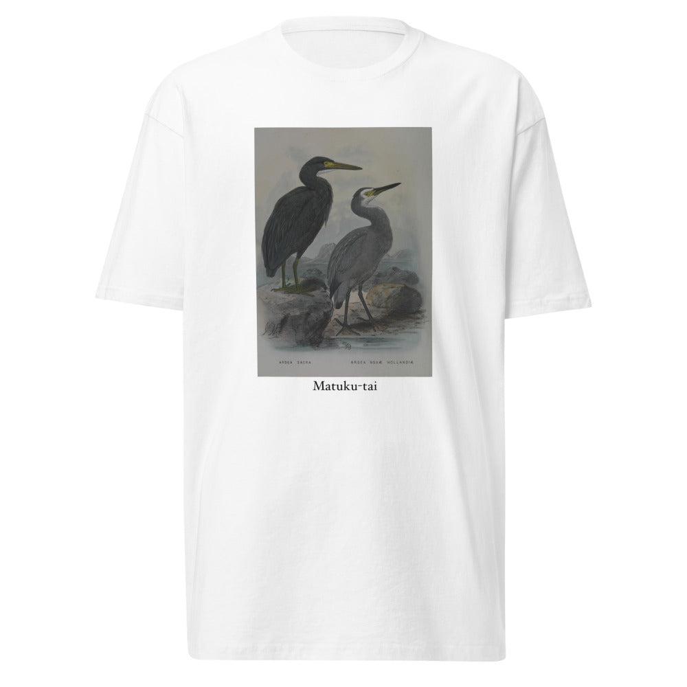Matuku-tai — Pacific Reef Heron