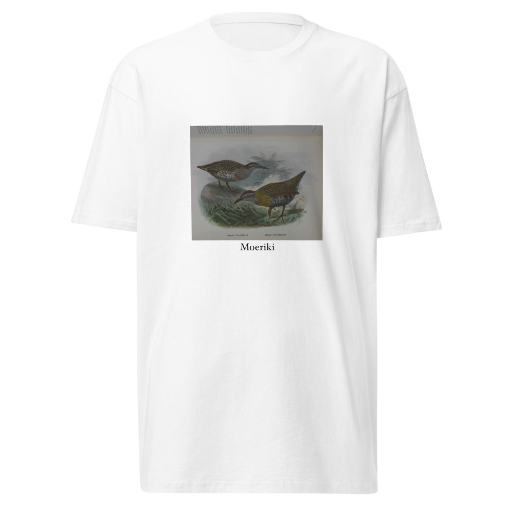 Moeriki — Dieffenbach's rail