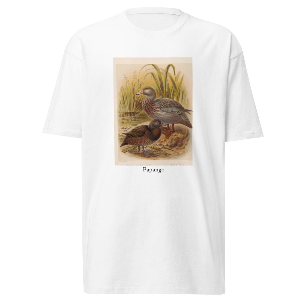Pāpango — New Zealand scaup