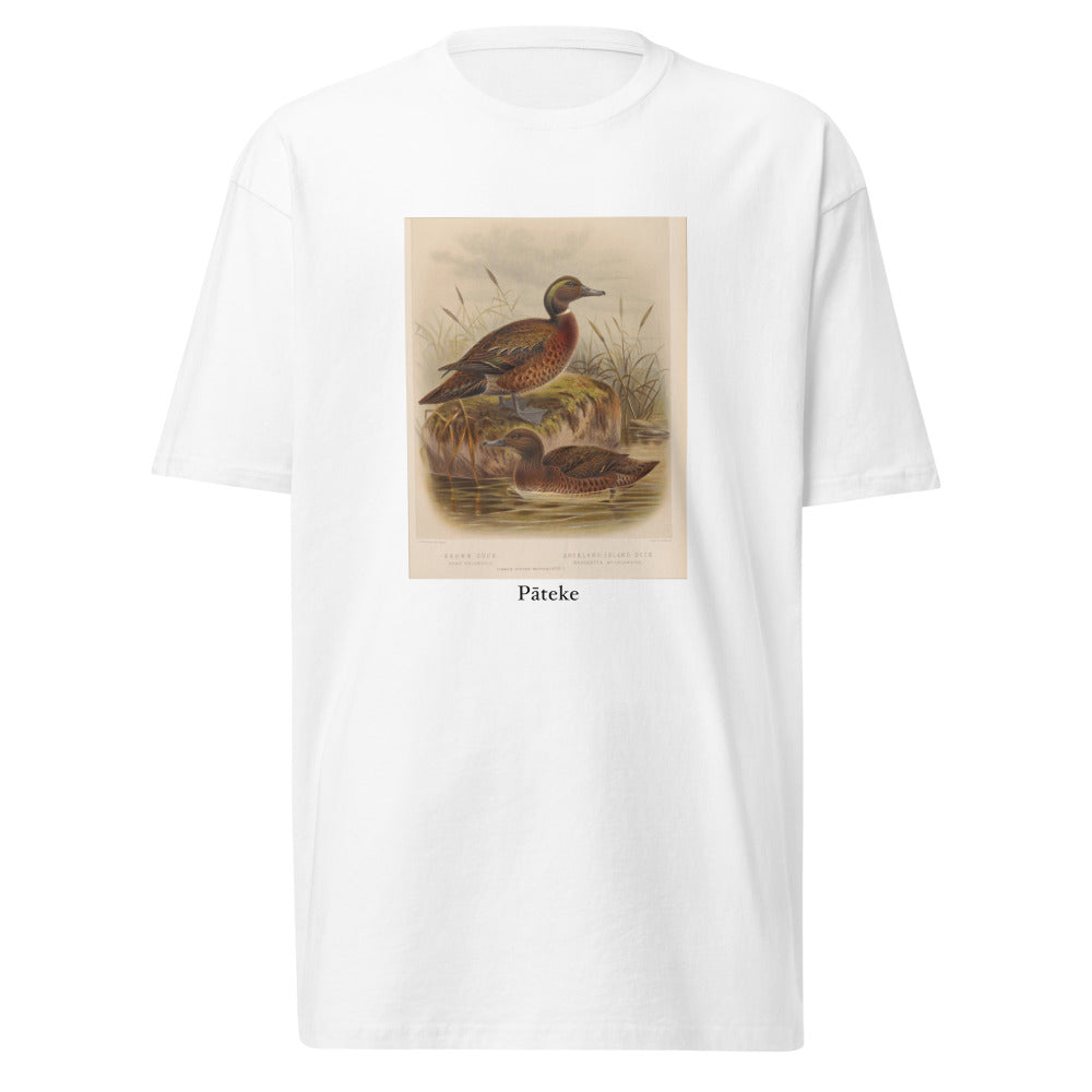 Pāteke — Brown Teal