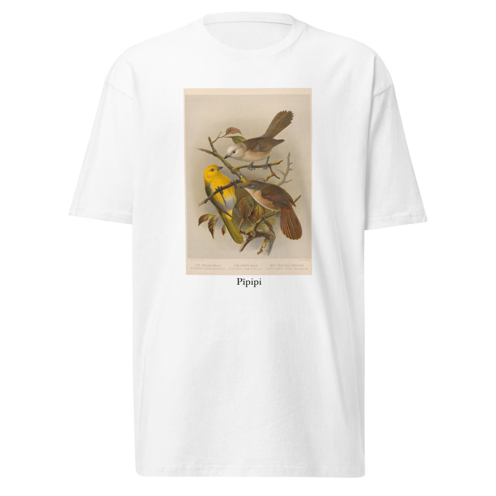 Pīpipi