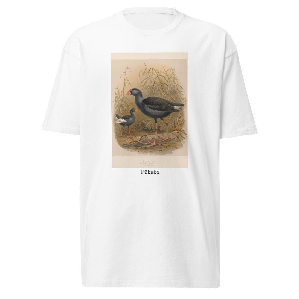 Pūkeko — Australasian Swamphen